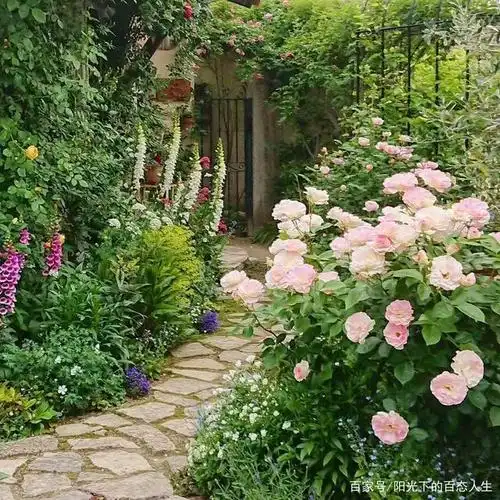 用心布置的温馨小院