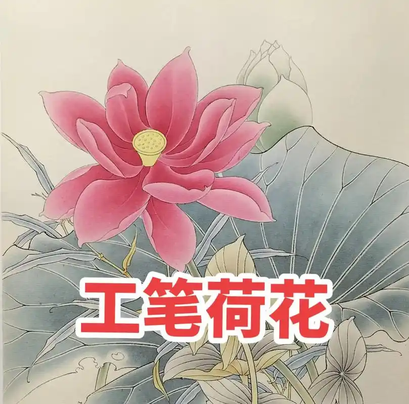 工笔画 #荷花 #手 - 抖音