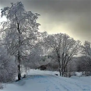 晨曦唯美雪景头像