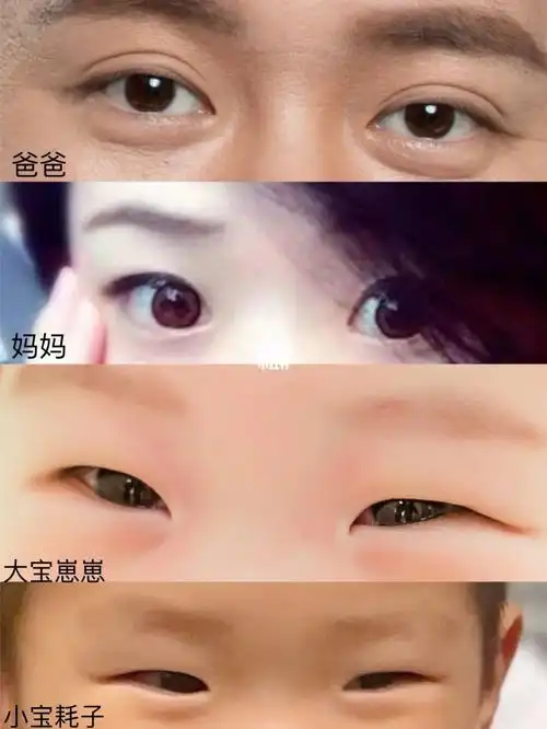 这小眼睛的基因妹妹还有希望大眼睛吗
