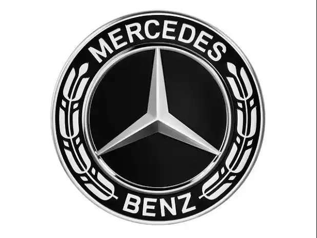 德国原厂 奔驰c200 glc260 e300 gle320 改装新款黑色麦穗轮毂盖