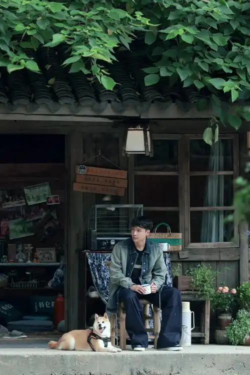 张艺兴向往的生活