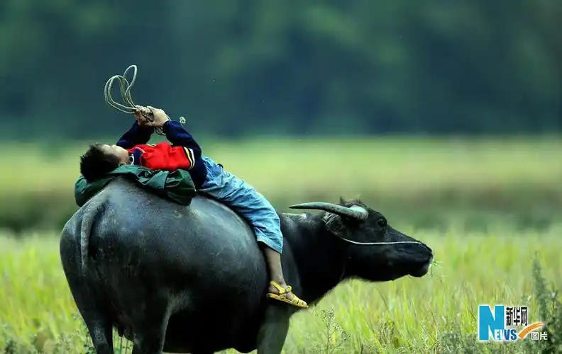 课堂之外,游戏之余,乡村孩童们在劳动上体验着生活的情趣和对成长的