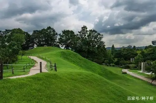 带你了解四大暖季型草坪,特点以及运用,适合南北方的绿化草坪