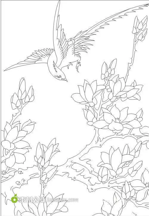 山水的简笔画花鸟铅笔简笔画简单花鸟简笔画图片大全花鸟简笔画铅笔