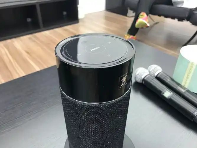 软硬结合共享智慧生态 海尔音箱高层专访