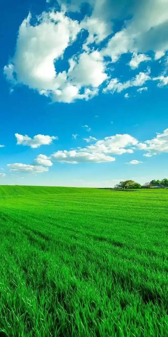 乡村田园风光全面屏手机壁纸