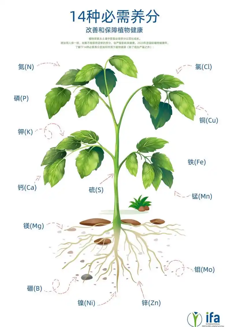 植物必需的营养元素