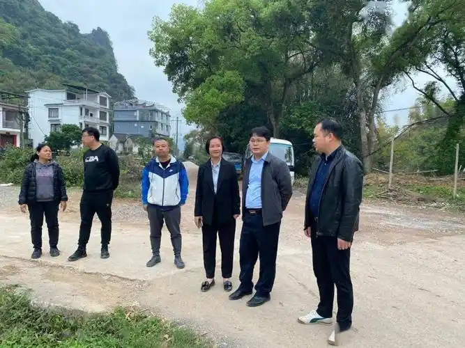 县领导到兴坪镇视察乡村风貌改造提升工作