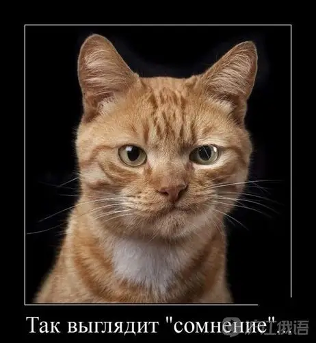 看图学口语:疯狂的小动物们(中)