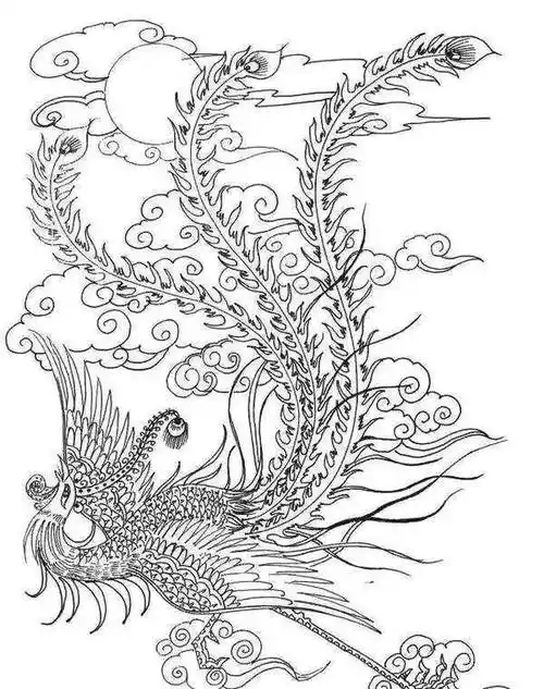 凤凰怎么画(凤凰怎么画视频)_环球信息网