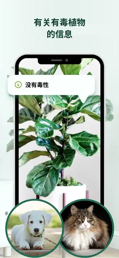 植物花形色拍照识花识别植物app