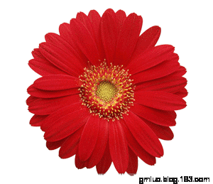 【转载】动态花公鸡欣赏