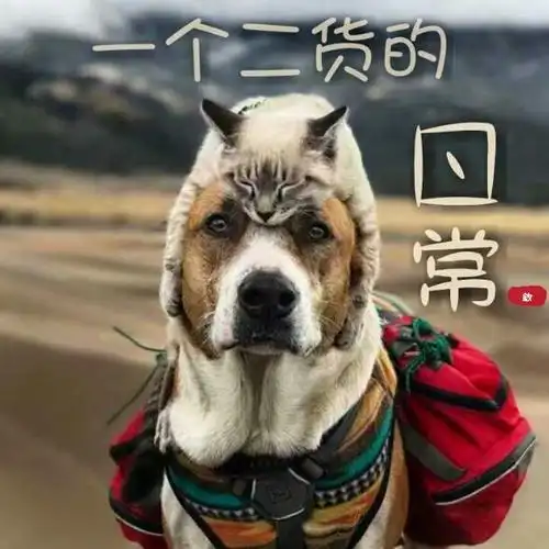 一个二货的日常