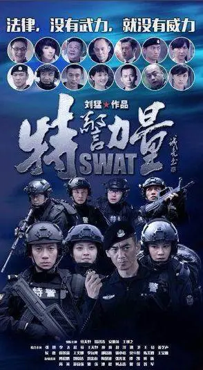 特警力量插曲你走以后歌词/mp3下载在线试听