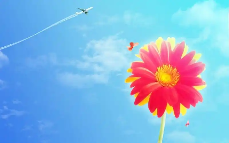 微笑的太阳花桌面壁纸