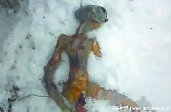 7个外星人真实图片