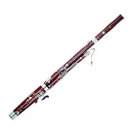 以下哪件乐器是大管