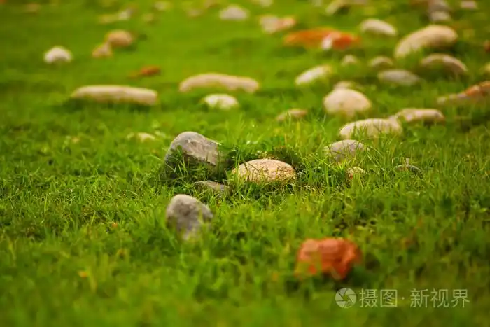 一堆石头在绿色的草地