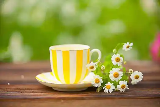 杯子,绿茶,桌子