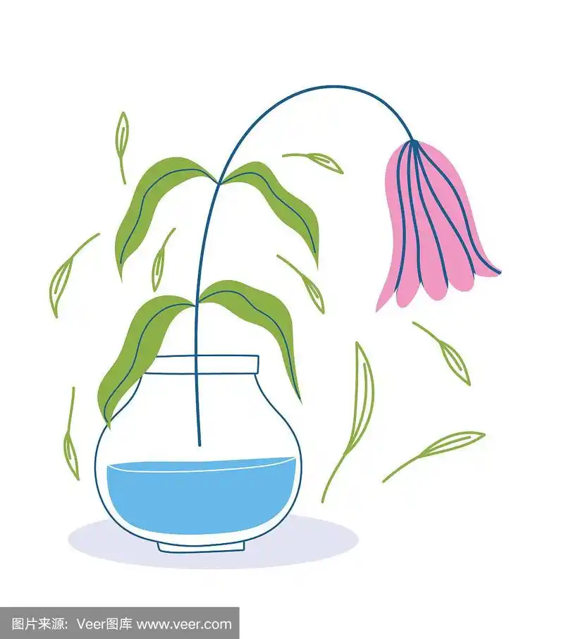 凋谢的花在花瓶叶叶装饰