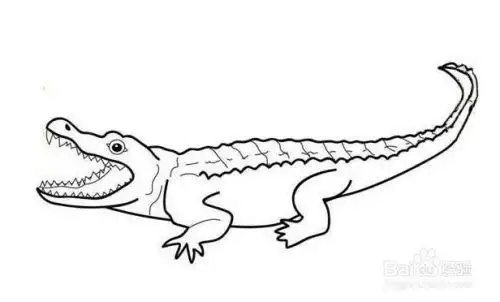 如何画一只鳄鱼