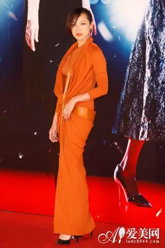 2014金像奖红毯造型:何韵诗