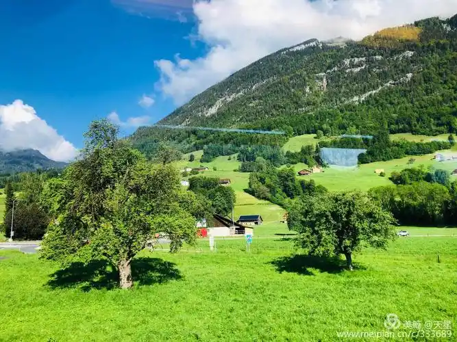 山水瑞士:欧洲八国游之三(2)金色山口观光列车