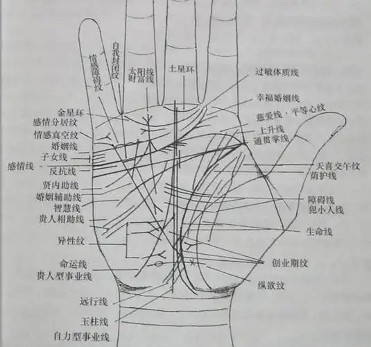 手分八卦十二宫,万事都在一掌中.手相口诀教你简单看手相!