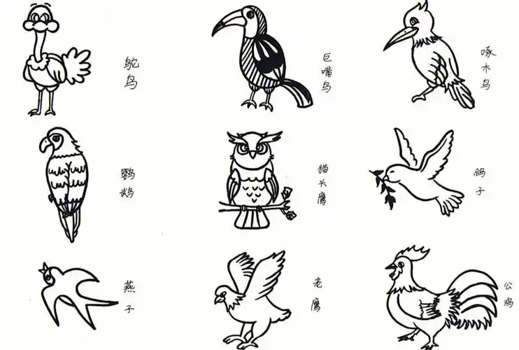 鸟类简笔画合集