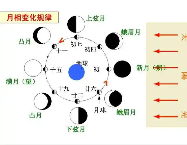 月相变化图(小学生月相图)