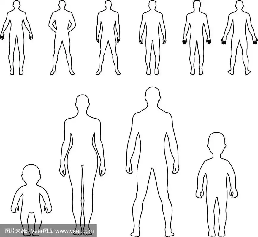 全长前后人类轮廓轮廓