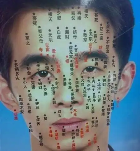 男人长痣面相图,男人面相痣图解大全,男人痣相全解图3