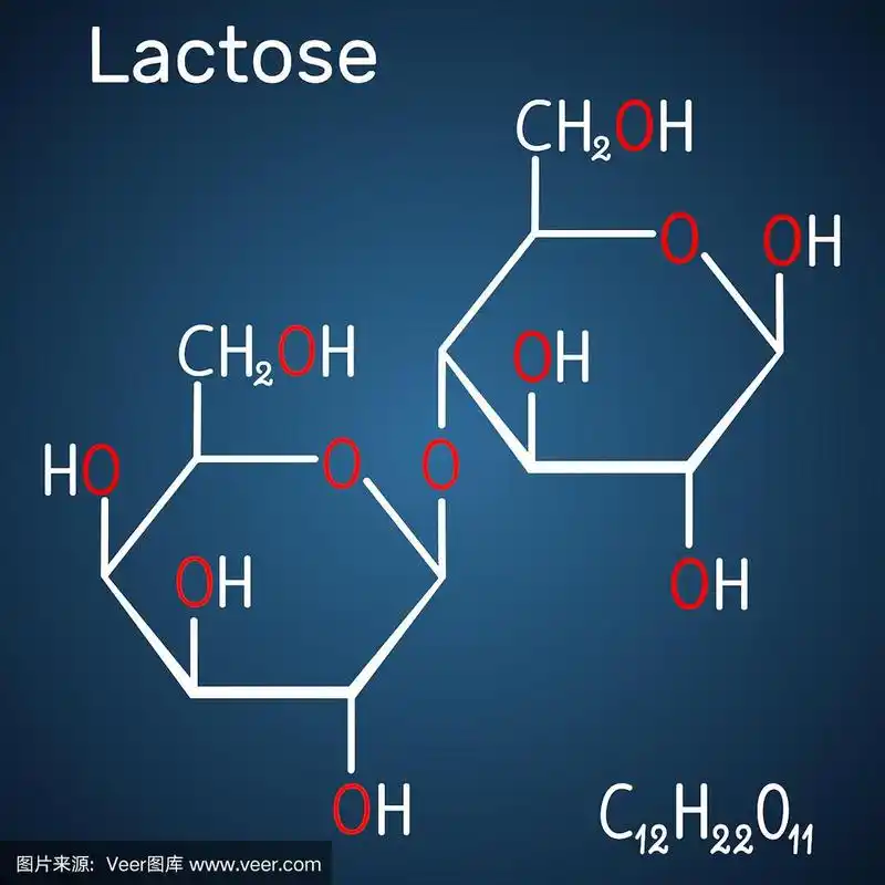 乳糖,奶糖分子,它是一种双糖.深蓝色背景上的结构化学式和分子模型
