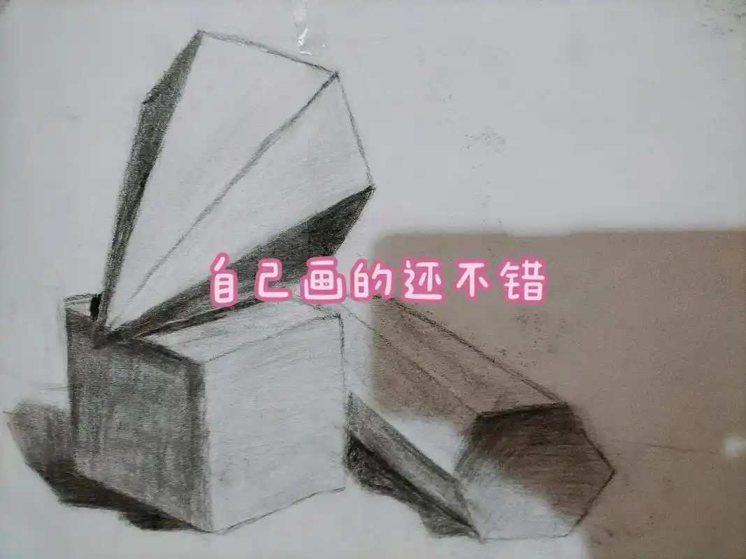 自学的素描不是网图