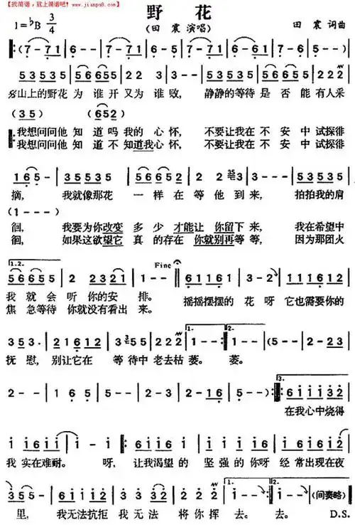 《野花》简谱
