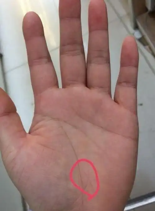 从手相三角纹看运势_生命线