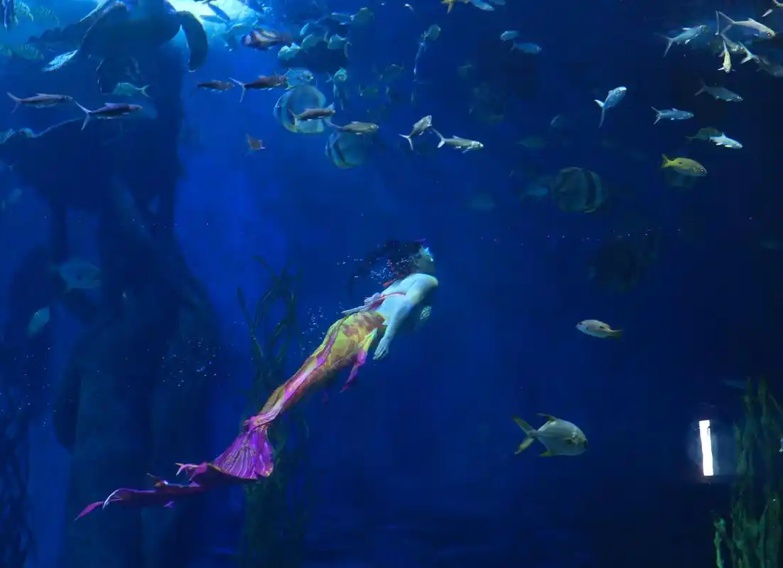 梦幻"美人鱼" 海底享清凉(1)