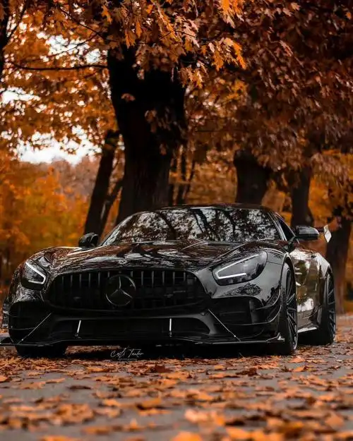 黑武士---奔驰amg gtr pro_amg gt车友圈_懂车帝