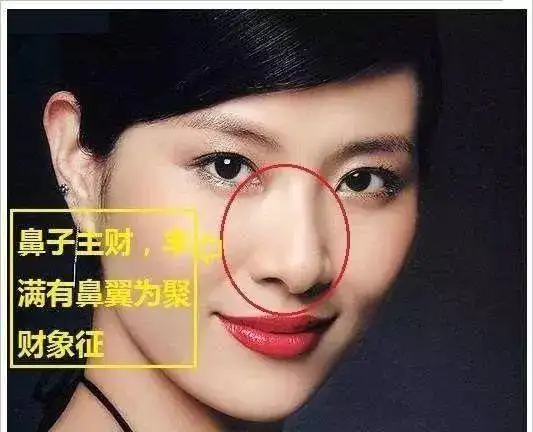 既然是看财运,那看鼻子一定没错了,它是中停最中央的位置,也是面相