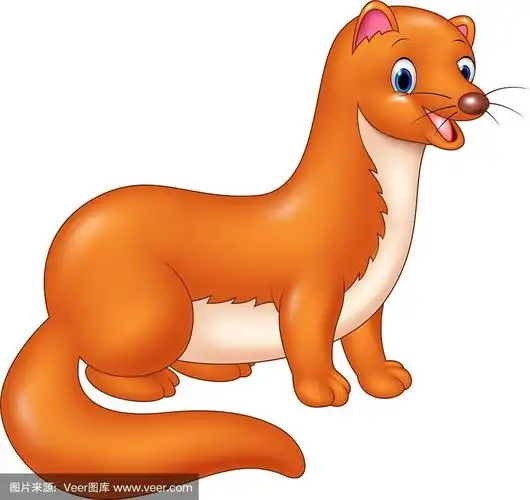 卡通有趣的鼬鼠孤立的白色背景