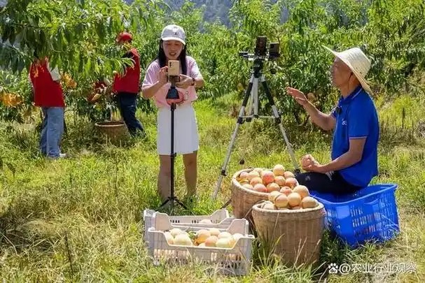 农业新型商业模式:助农直播电商