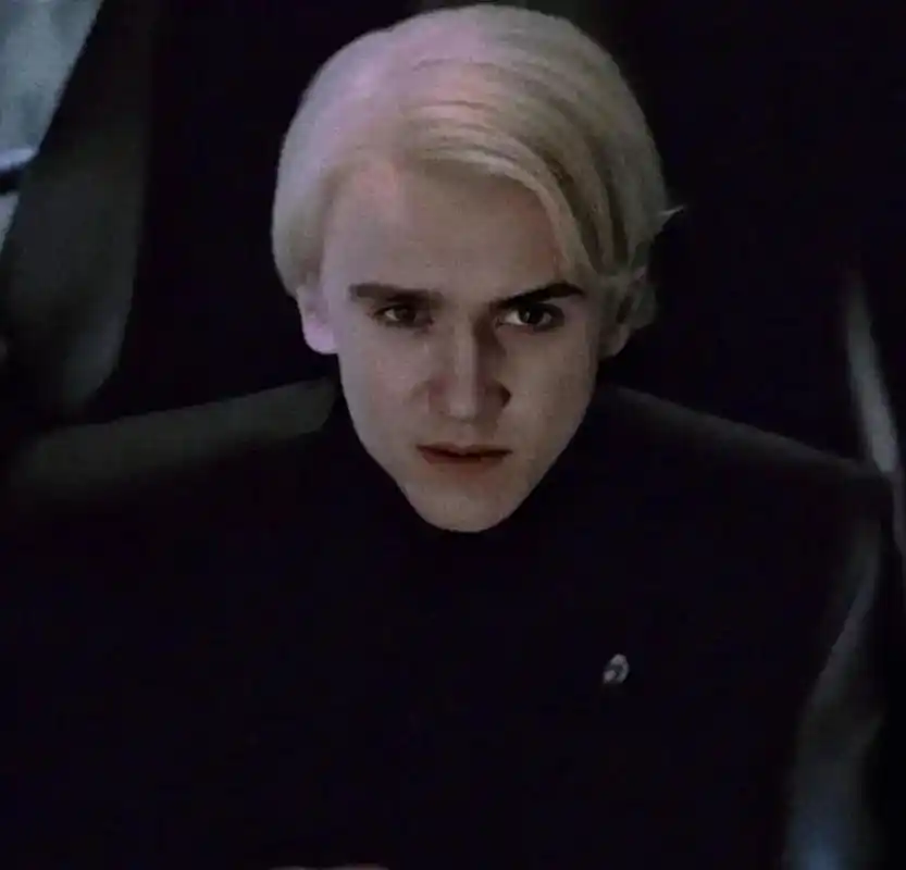 虽然我觉得伊芙琳·马尔福更好听 #哈利波特 #德拉科马尔福  - 抖音