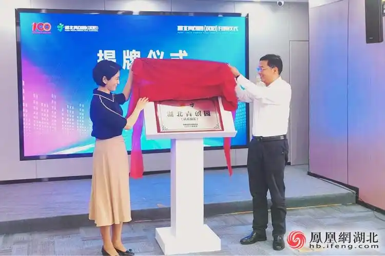 团省委书记周森锋,汉阳区委书记徐丽共同为湖北青创园(汉阳)省级试点