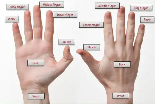 说英语的蜘蛛侠老湿之《手指故事篇》-原创故事