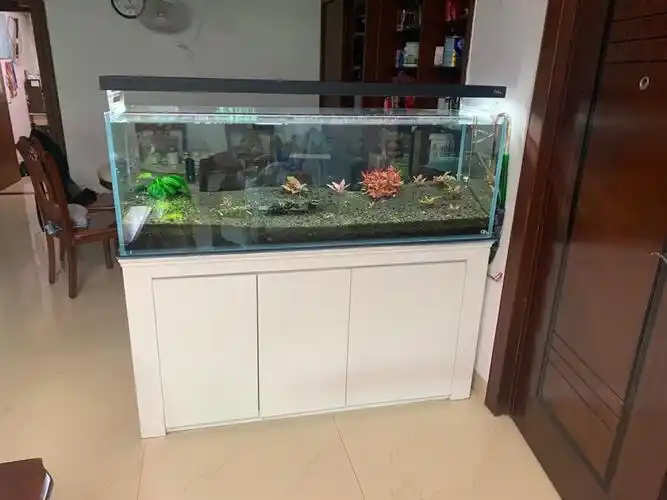 厦门出1米5超白缸 灯柜