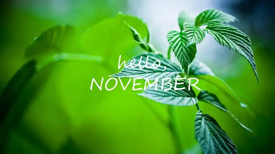 唯美11月英文字美景壁纸_唯美清新的风景