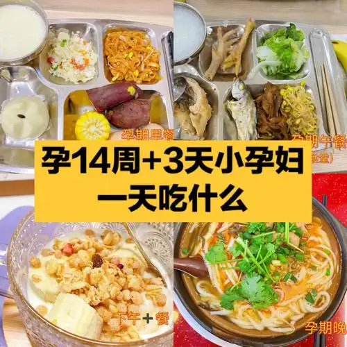 孕14周3天央企小孕妇食谱