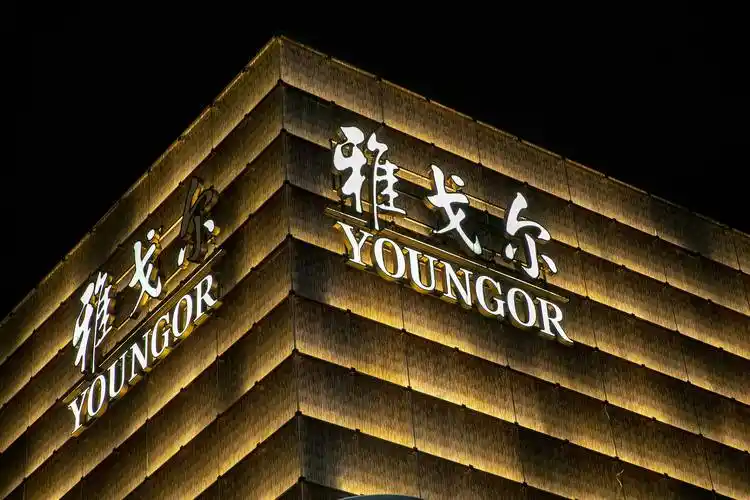 雅戈尔:上半年投资净赚12亿,地产业务持续拖累业绩