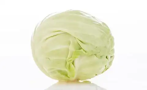 富含叶酸 怀孕准妈妈和贫血者优选包菜来自欧洲地中海地区,它在西方是